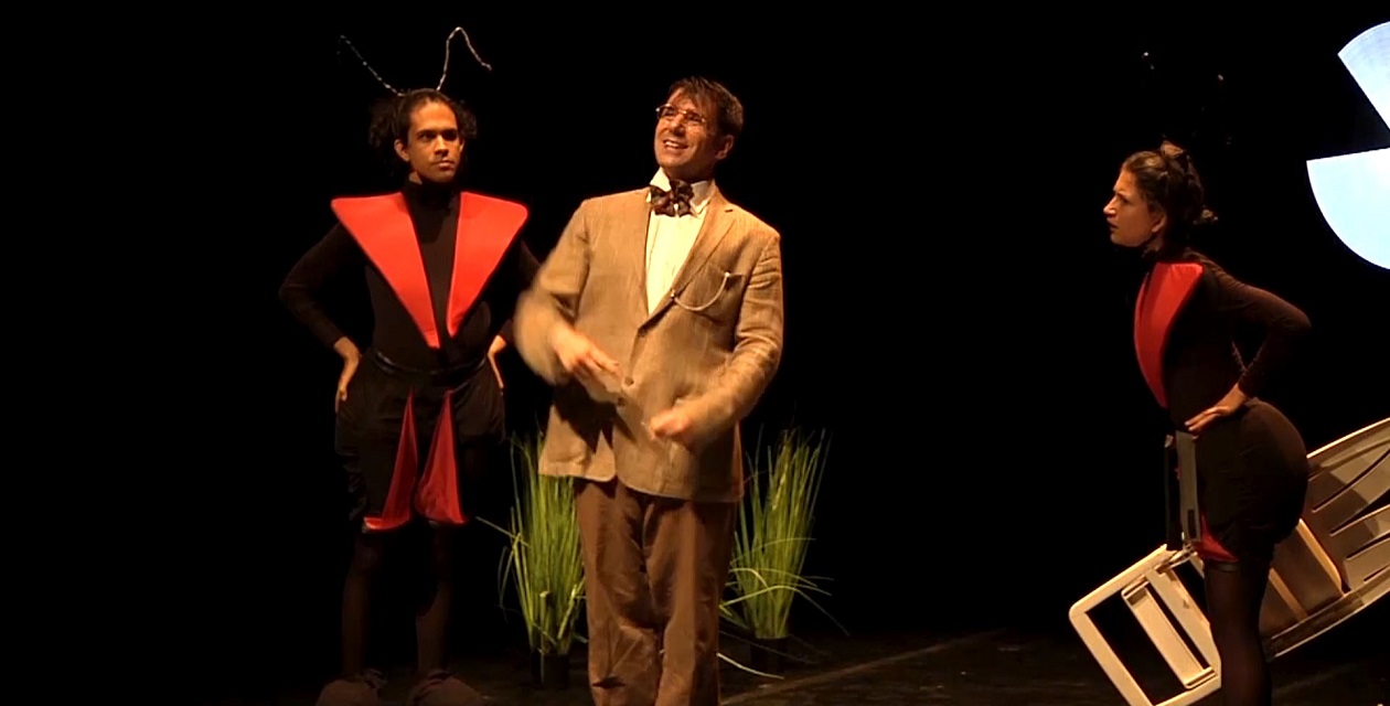ANT'S LINE - FORMICHE IN FILA INDIANA - Teatro di Lonigo